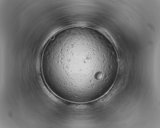 X0000112780851200908271702