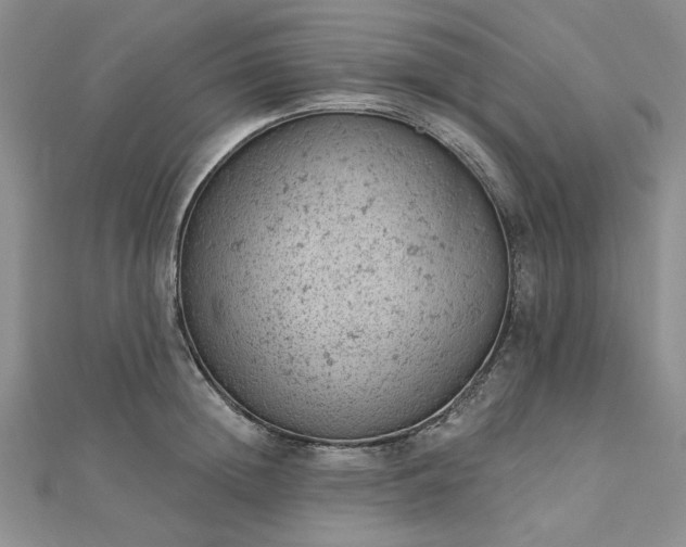 X0000112780852200908271702