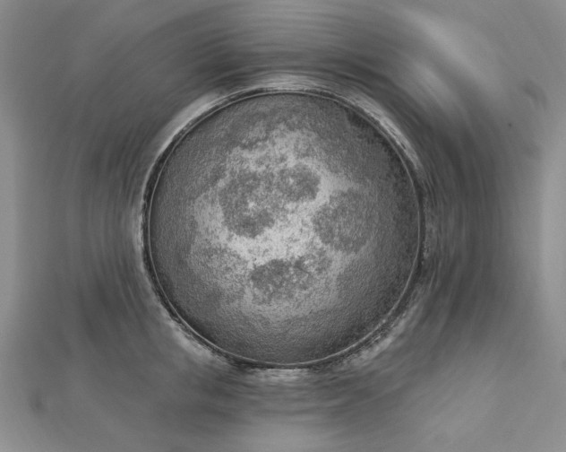 X0000112780853200908271702