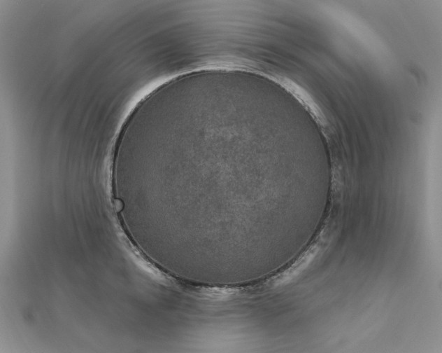 X0000112780854200908271702