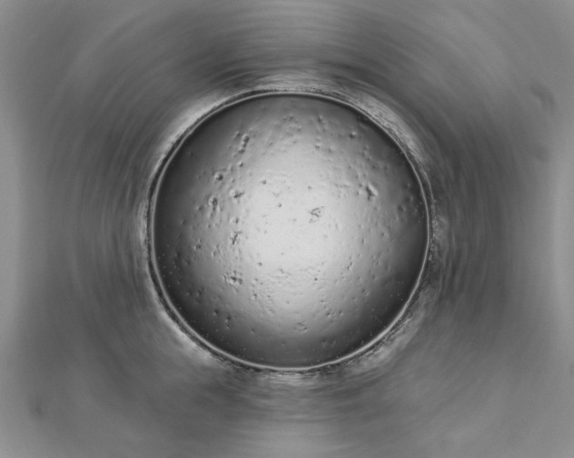 X0000112780855200908271702