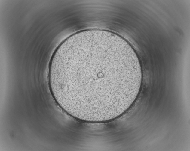 X0000112780856200908271702