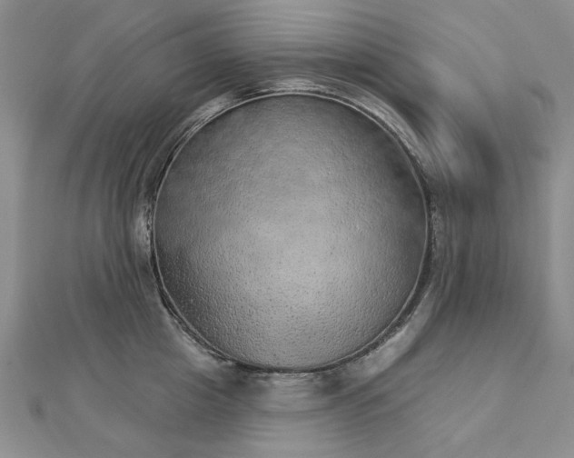 X0000112780857200908271702