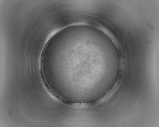 X0000112780858200908271702