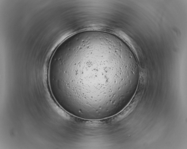 X0000112780859200908271702