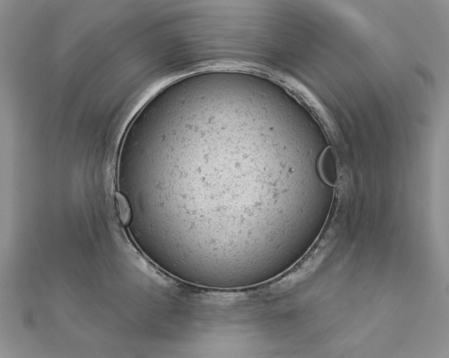 X0000112780860200908271702