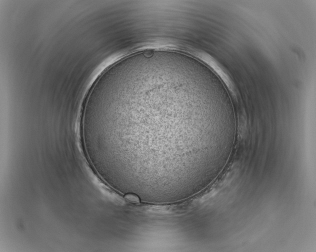 X0000112780861200908271702