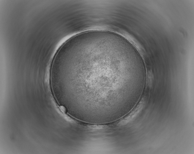 X0000112780862200908271702