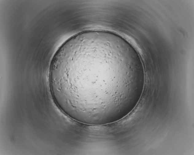 X0000112780863200908271702