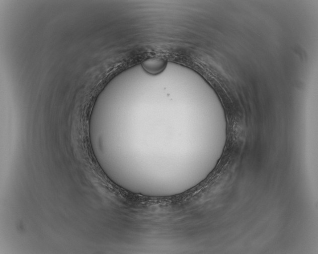 X0000112780865200908271701