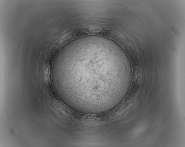 X0000112780866200908271701