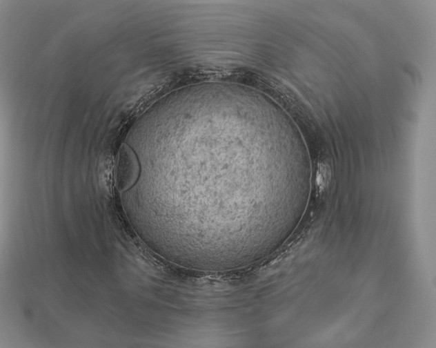 X0000112780867200908271701