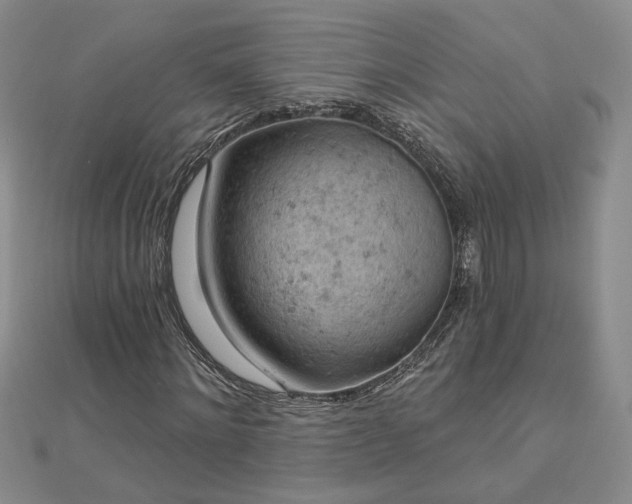 X0000112780868200908271701