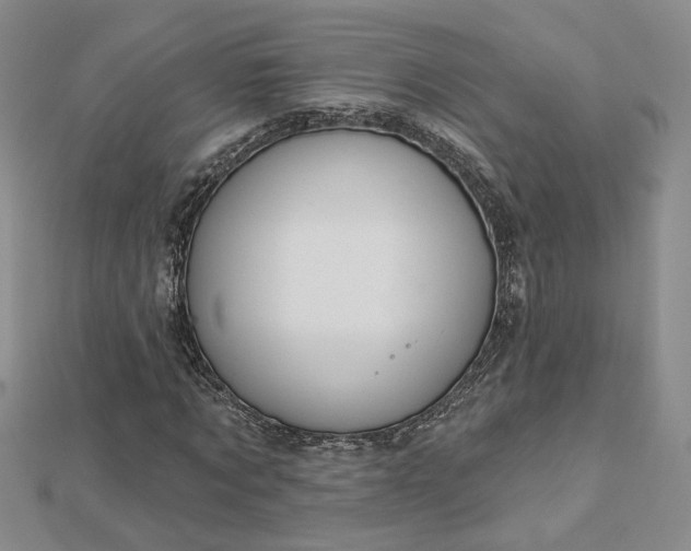 X0000112780869200908271701