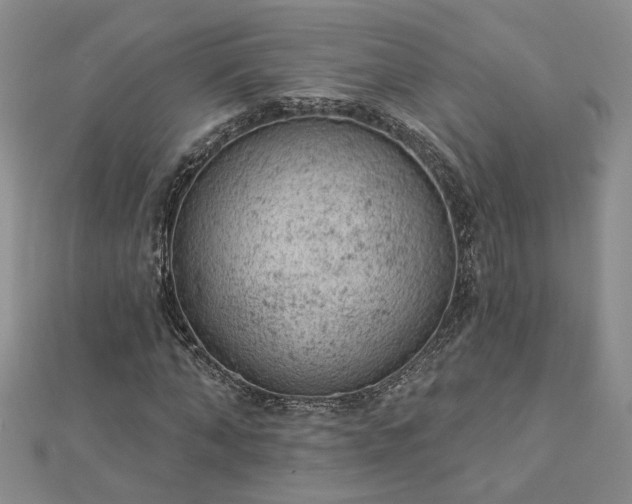 X0000112780870200908271701