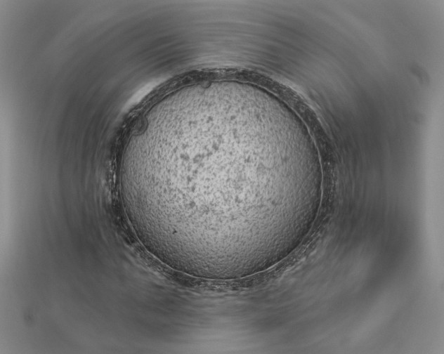 X0000112780871200908271701