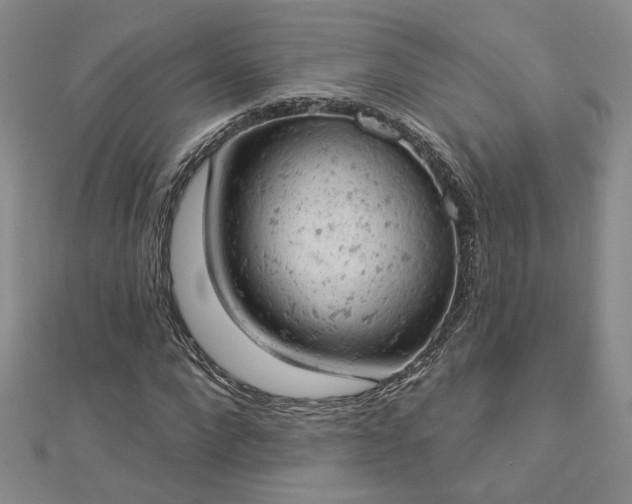 X0000112780872200908271701