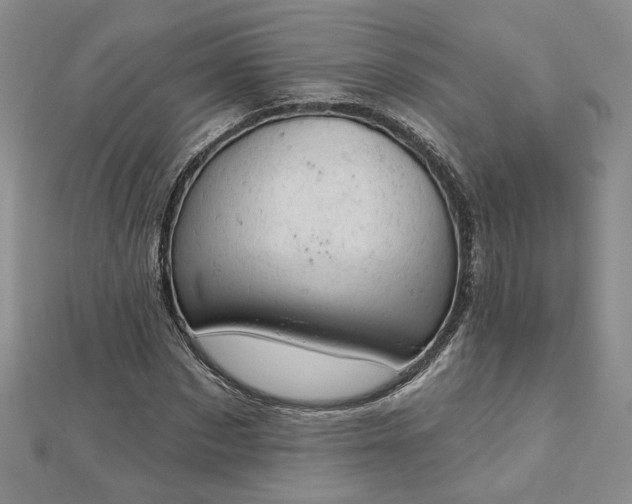 X0000112780873200908271701