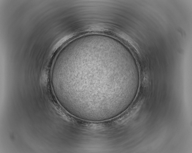 X0000112780874200908271701