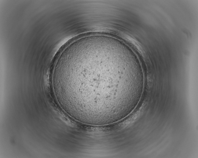 X0000112780875200908271701