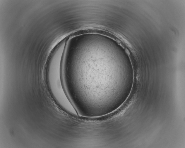 X0000112780877200908271701