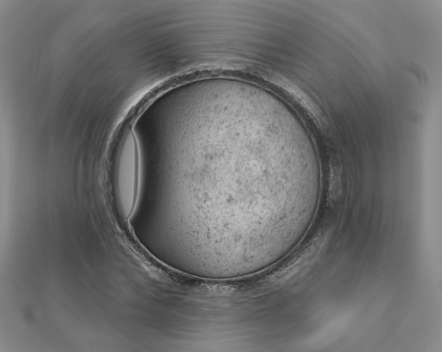 X0000112780878200908271701