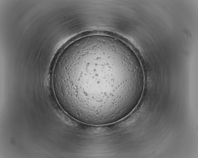 X0000112780879200908271701