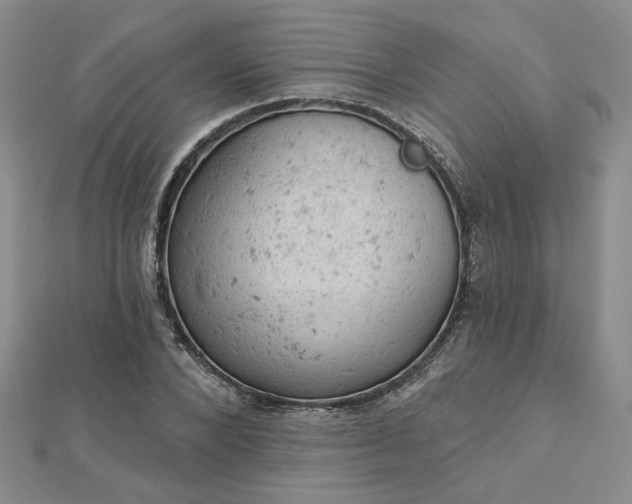 X0000112780880200908271701