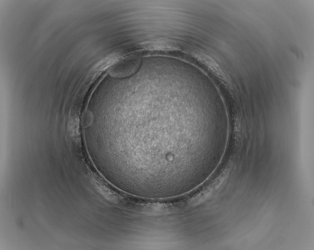 X0000112780881200908271701