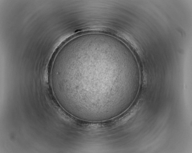 X0000112780883200908271701