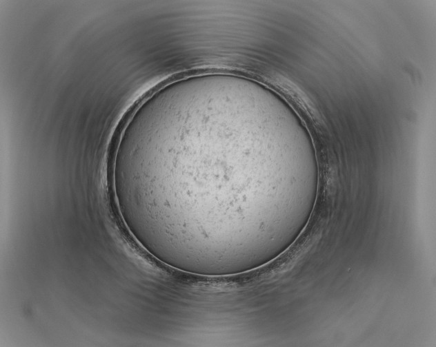 X0000112780884200908271701