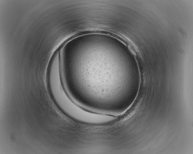 X0000112780885200908271701