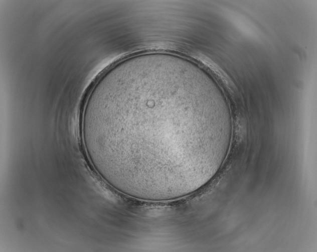 X0000112780886200908271701