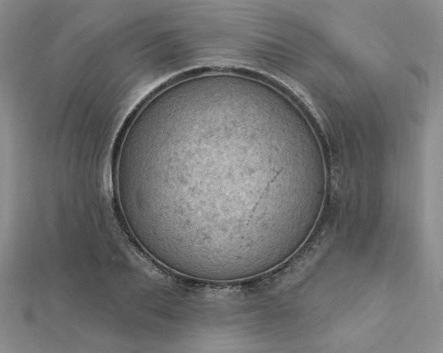 X0000112780887200908271701