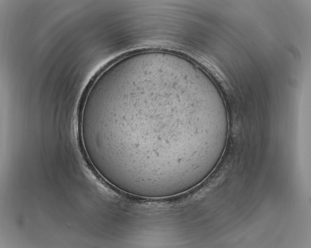 X0000112780888200908271701