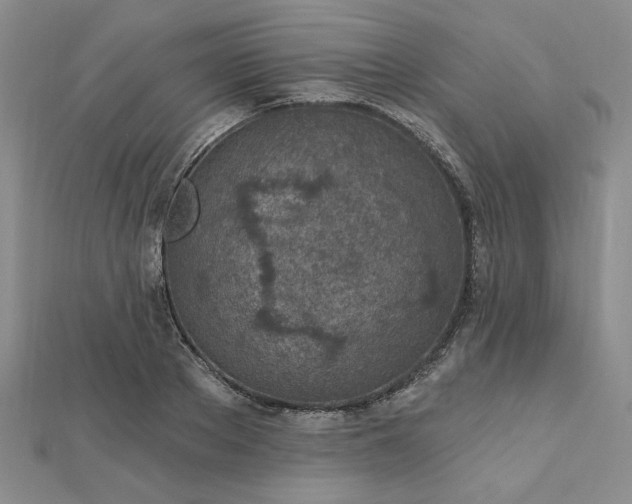 X0000112780889200908271701