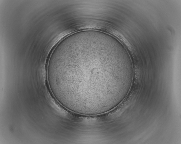 X0000112780890200908271701