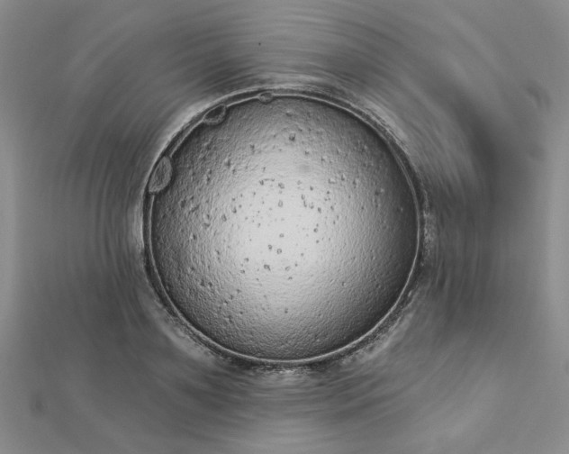 X0000112780891200908271701