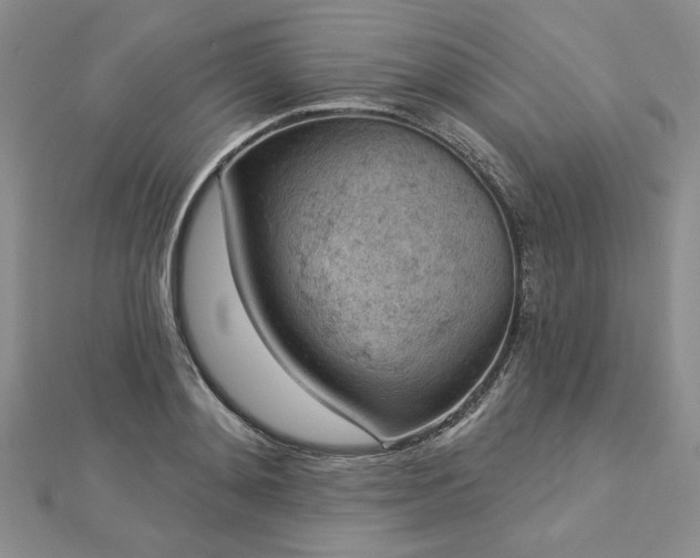 X0000112780892200908271701