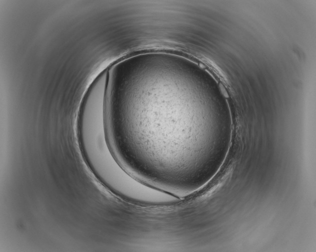 X0000112780893200908271701