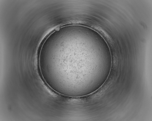 X0000112780894200908271701