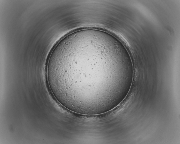 X0000112780895200908271701