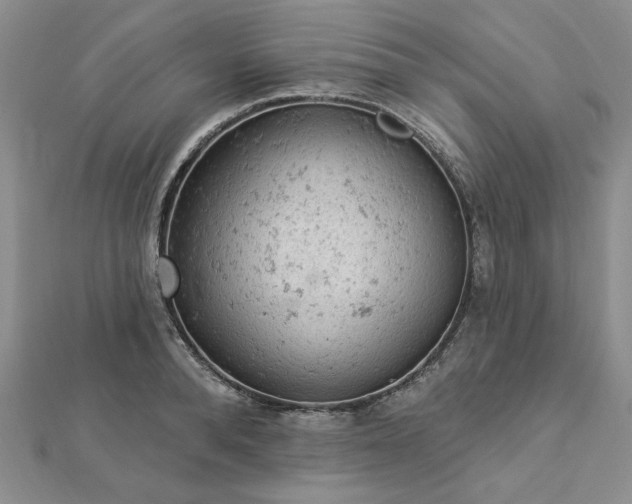 X0000112780896200908271701