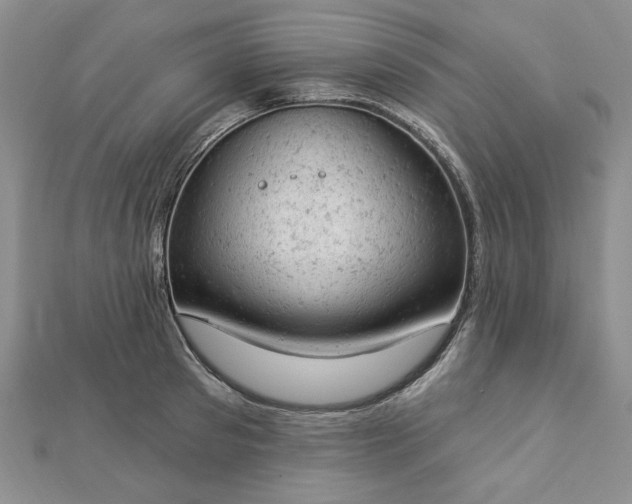 X0000112780897200908271701