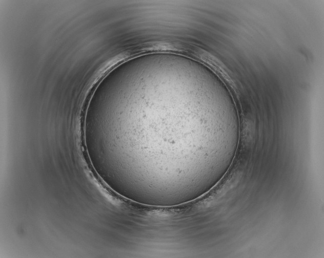 X0000112780898200908271701