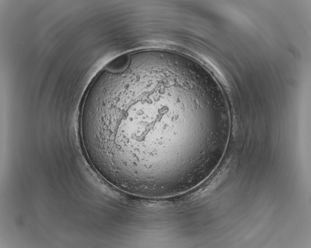 X0000112780899200908271701