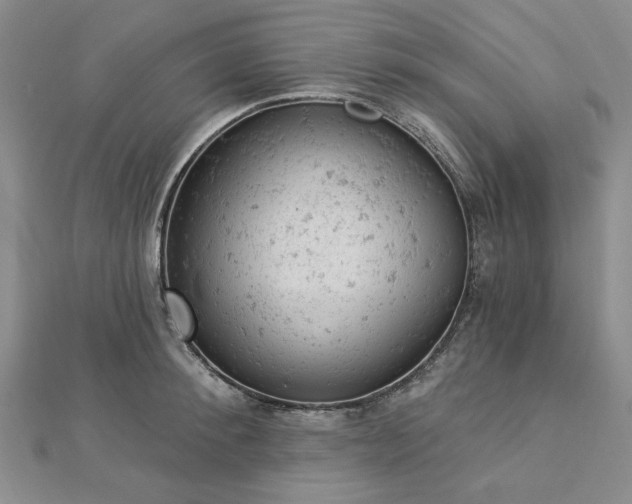 X0000112780900200908271701