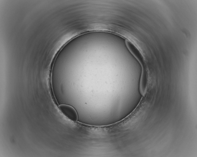 X0000112780901200908271701