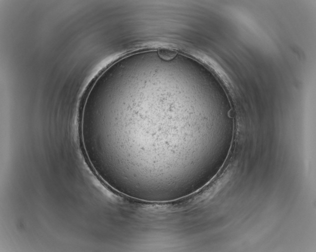 X0000112780902200908271701