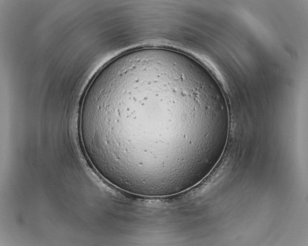 X0000112780903200908271701